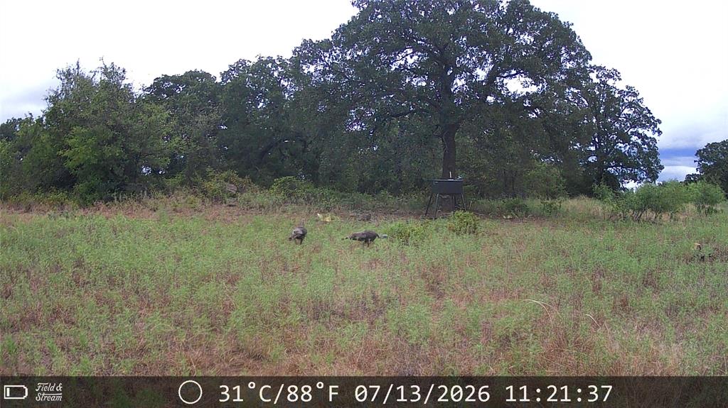 21 Ac Erwin Property Photo 17