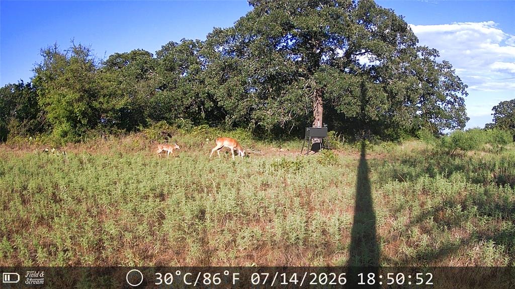 21 Ac Erwin Property Photo 18