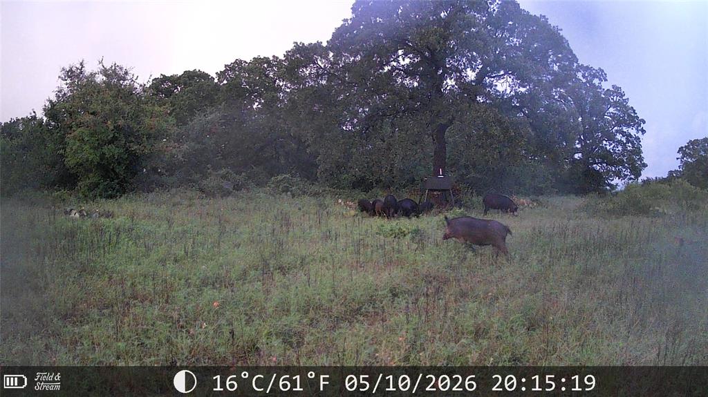 21 Ac Erwin Property Photo 19