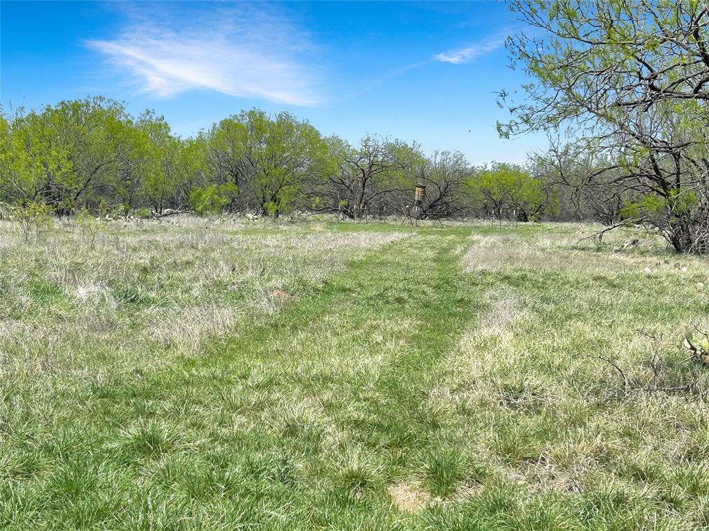 1116 County Road 107 Property Photo 8
