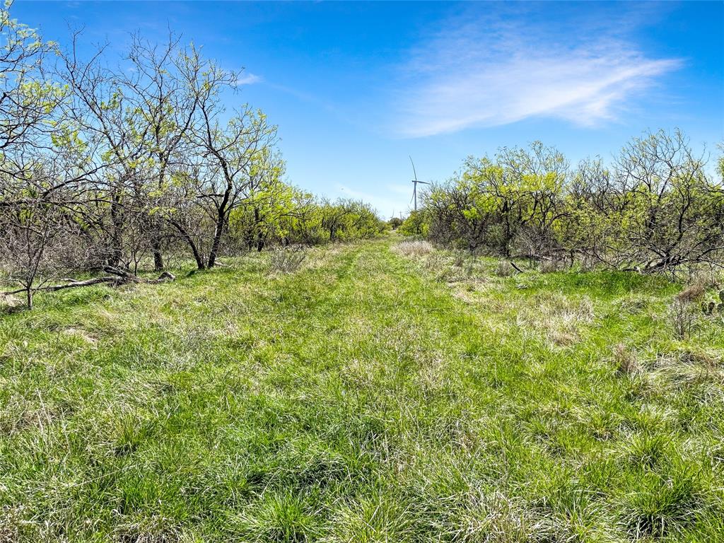 1116 County Road 107 Property Photo 26