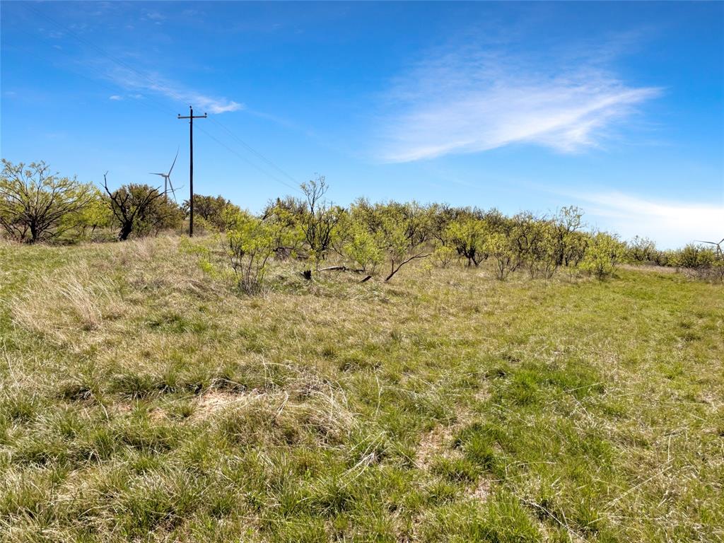 1116 County Road 107 Property Photo 27
