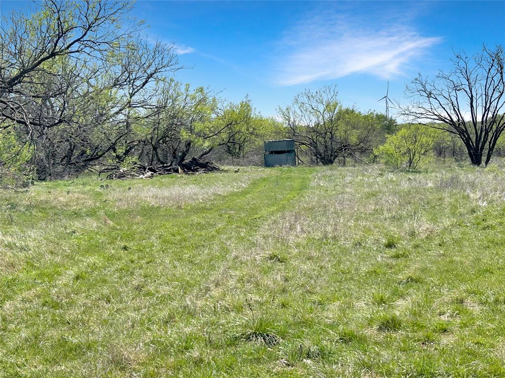 1116 County Road 107 Property Photo 29