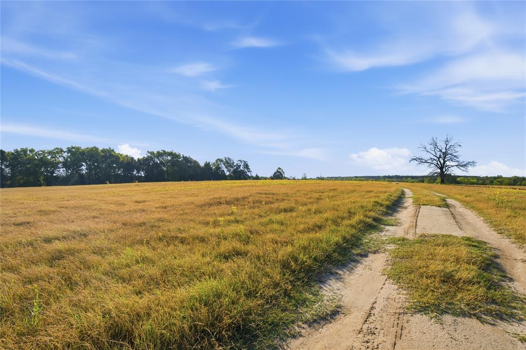 7335 Cr 4710 Property Photo 22