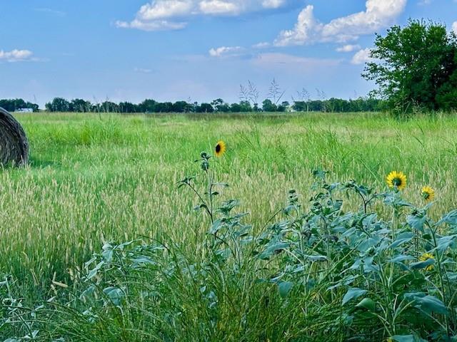 Tbd 11ac Cr 4805 Property Photo 2