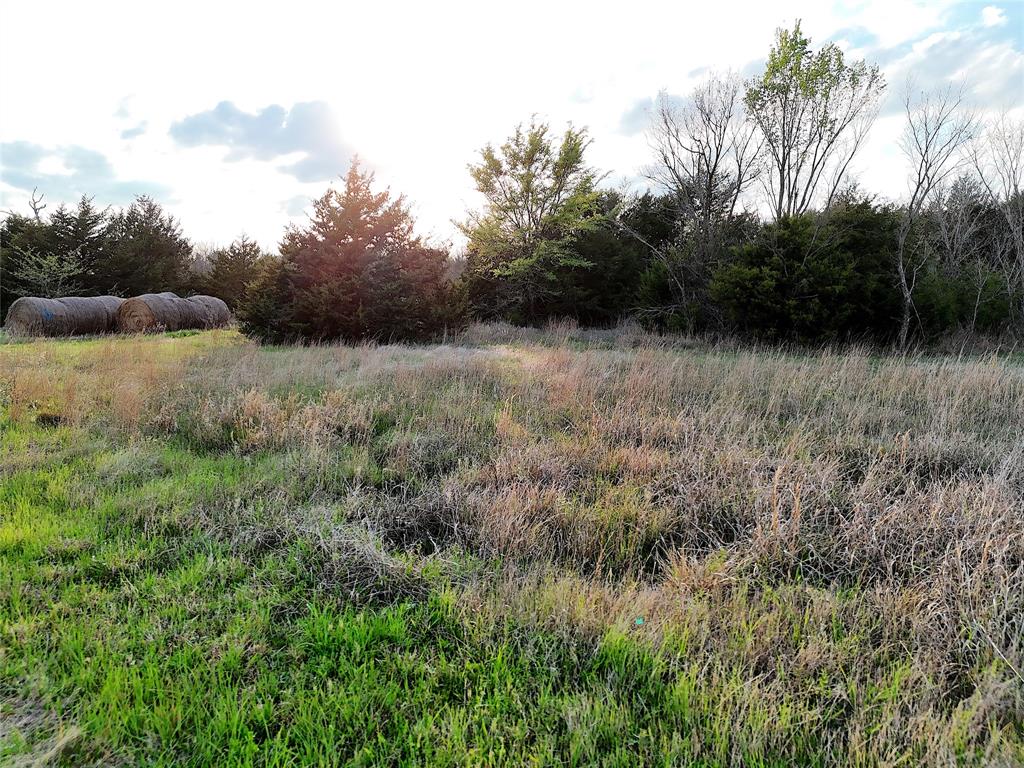 025 Fm 2194 Property Photo 12