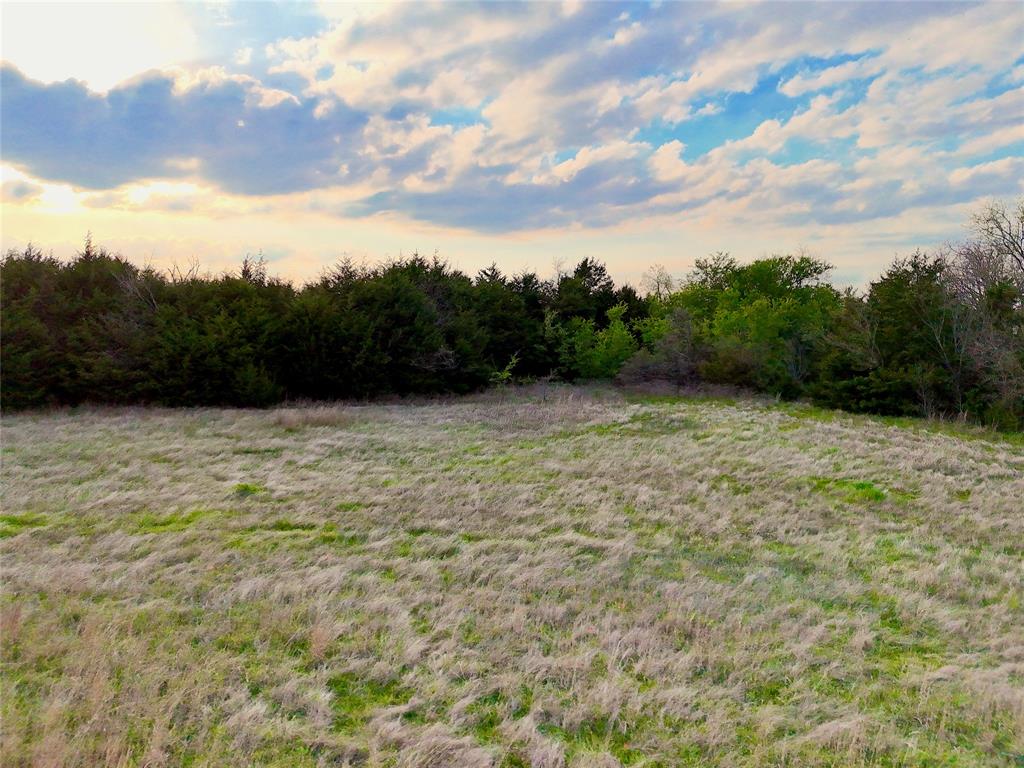 025 Fm 2194 Property Photo 13