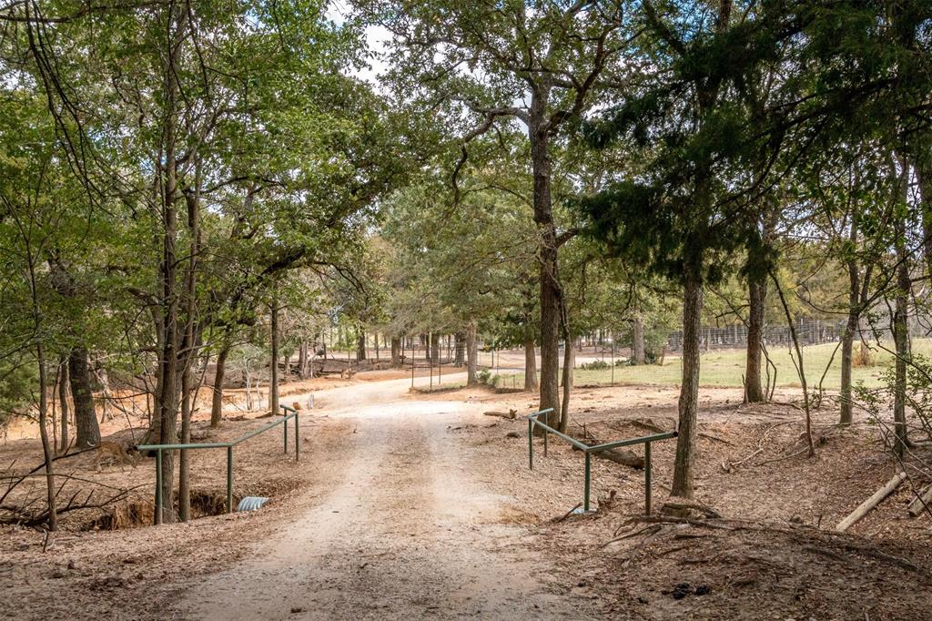 Tbd W Hwy 79 Property Photo 14