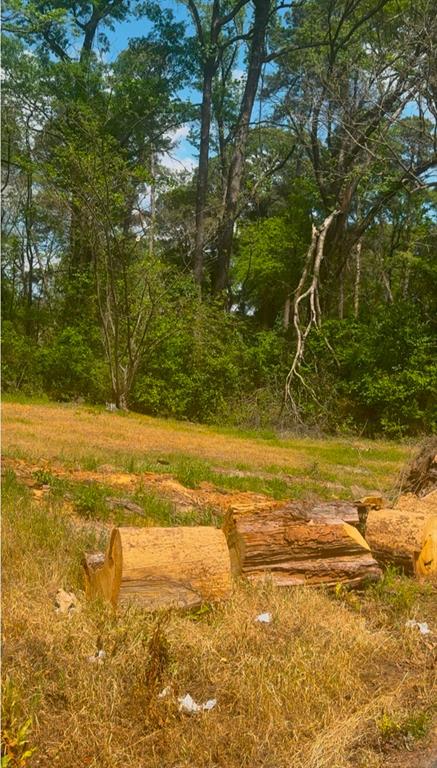 0 Turner Lane Property Photo 2