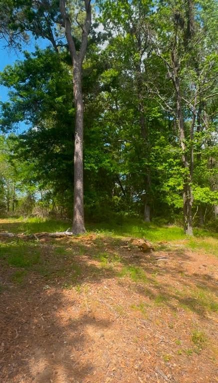 0 Turner Lane Property Photo 3