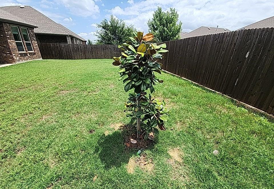 11132 Canyon Oak Street Property Photo 6
