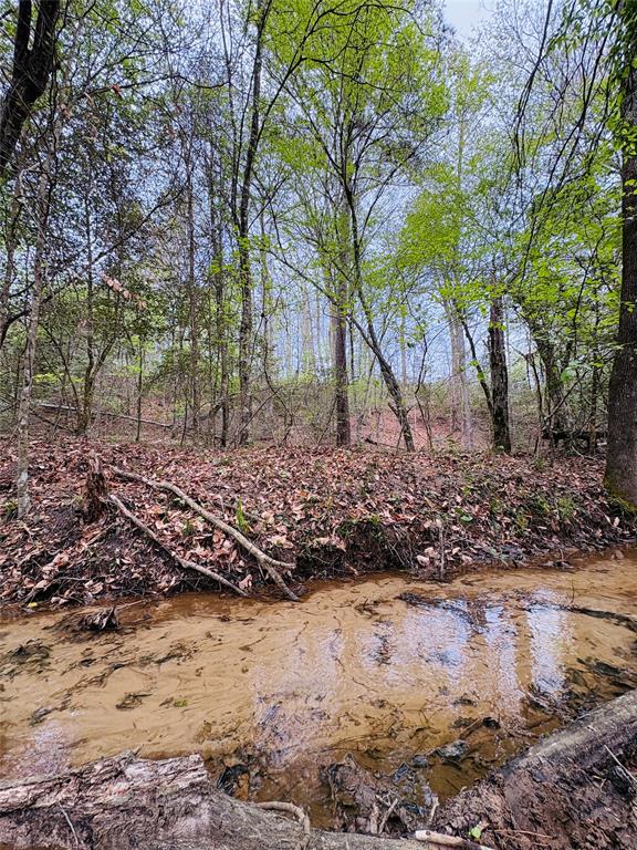 Tbd (tract A) Fm 711 Property Photo 1