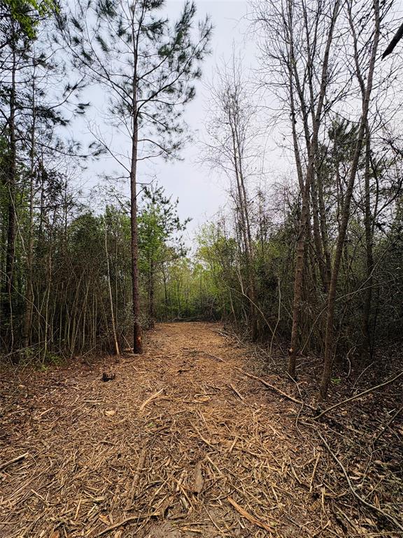 Tbd (tract A) Fm 711 Property Photo 3