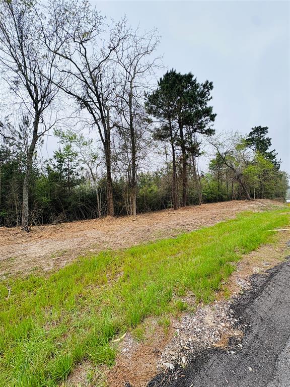 Tbd (tract A) Fm 711 Property Photo 4