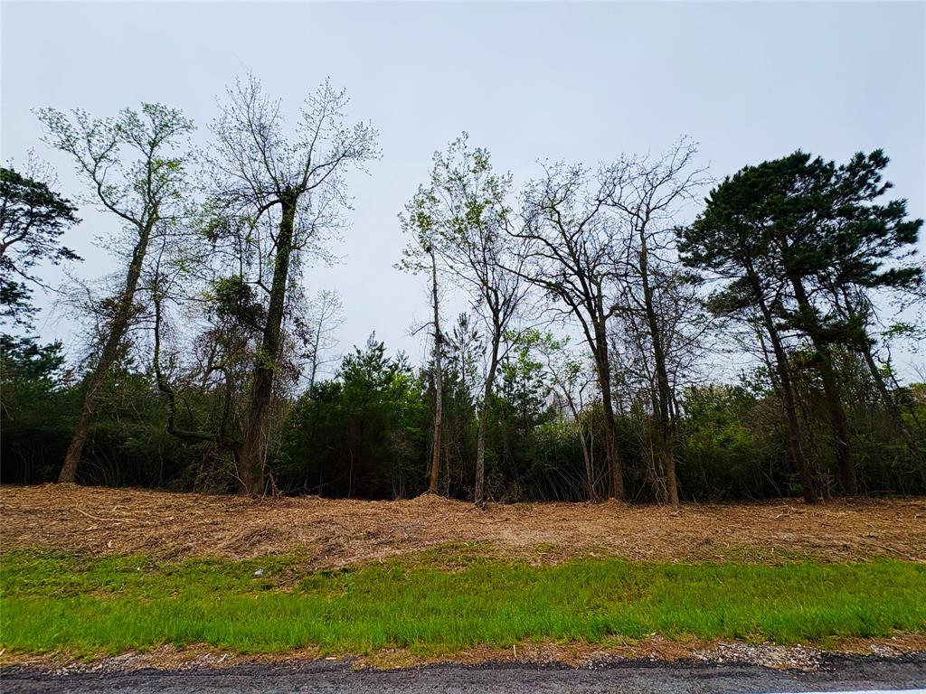 Tbd (tract A) Fm 711 Property Photo 5
