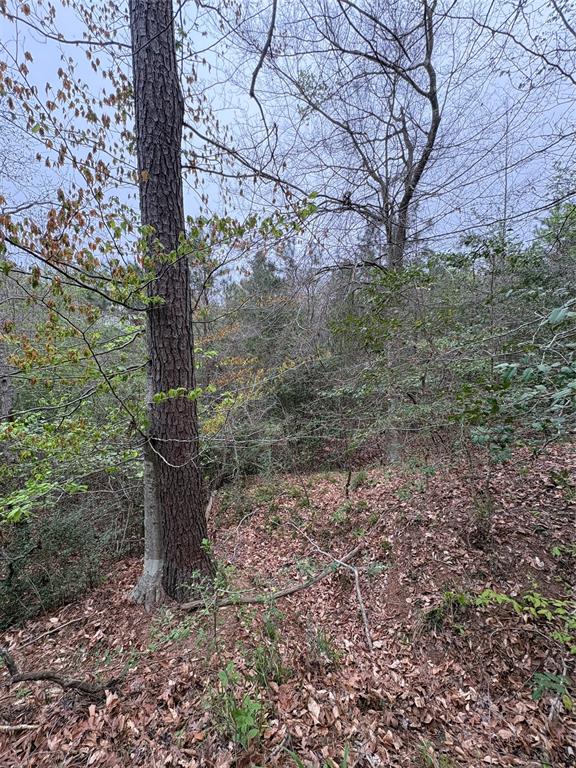 Tbd (tract A) Fm 711 Property Photo 6