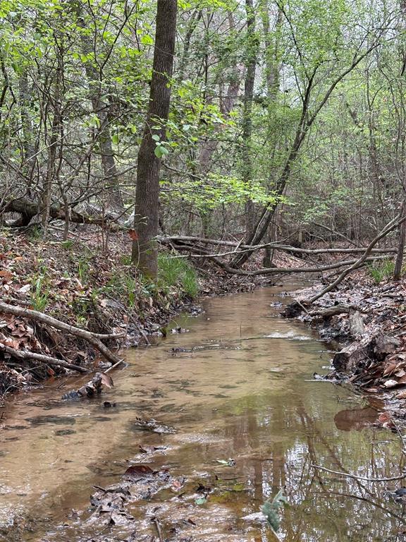 Tbd (tract A) Fm 711 Property Photo 7