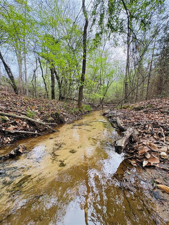 Tbd (tract A) Fm 711 Property Photo 8