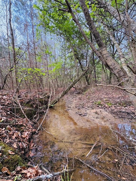 Tbd (tract A) Fm 711 Property Photo 9