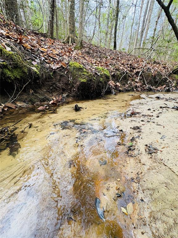 Tbd (tract A) Fm 711 Property Photo 10