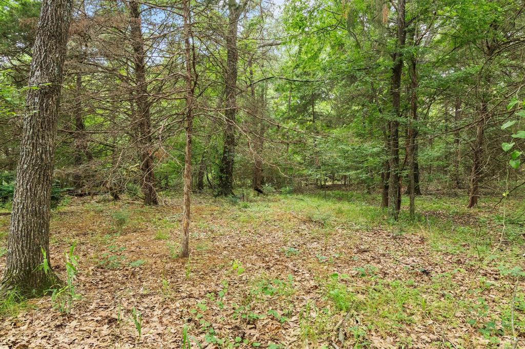 0000 Cr 2680 Property Photo 10
