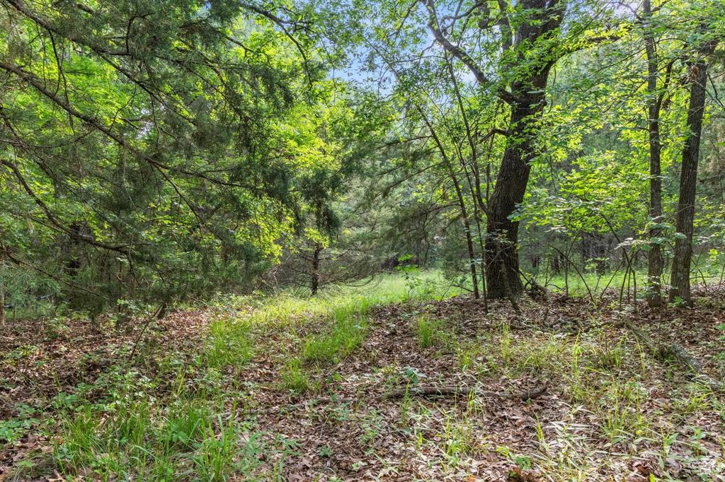 0000 Cr 2680 Property Photo 18