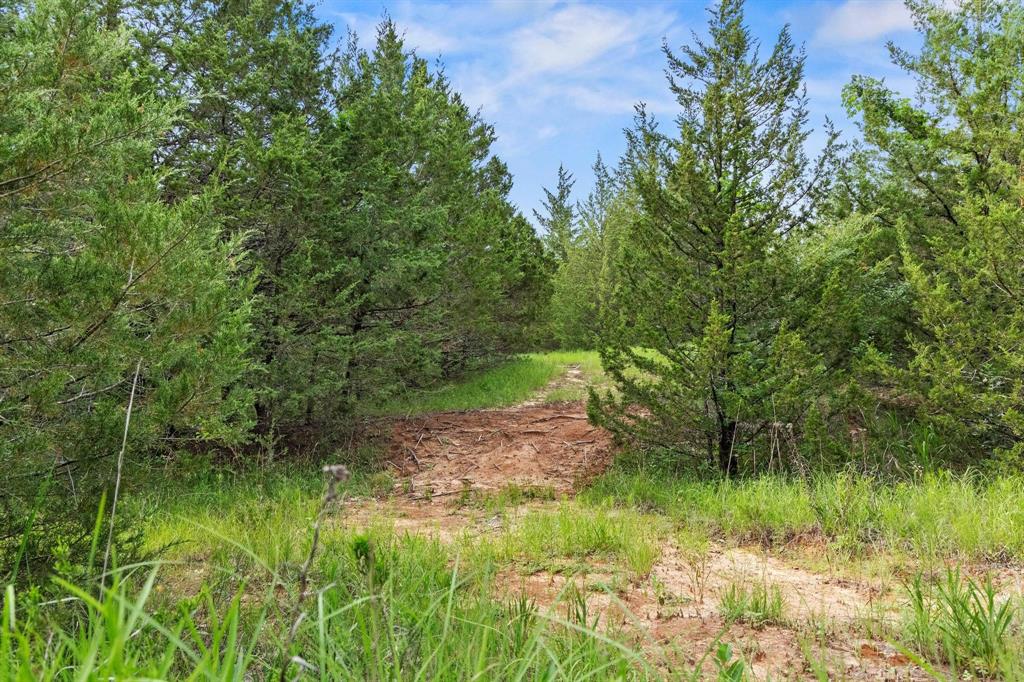 0000 Cr 2680 Property Photo 33