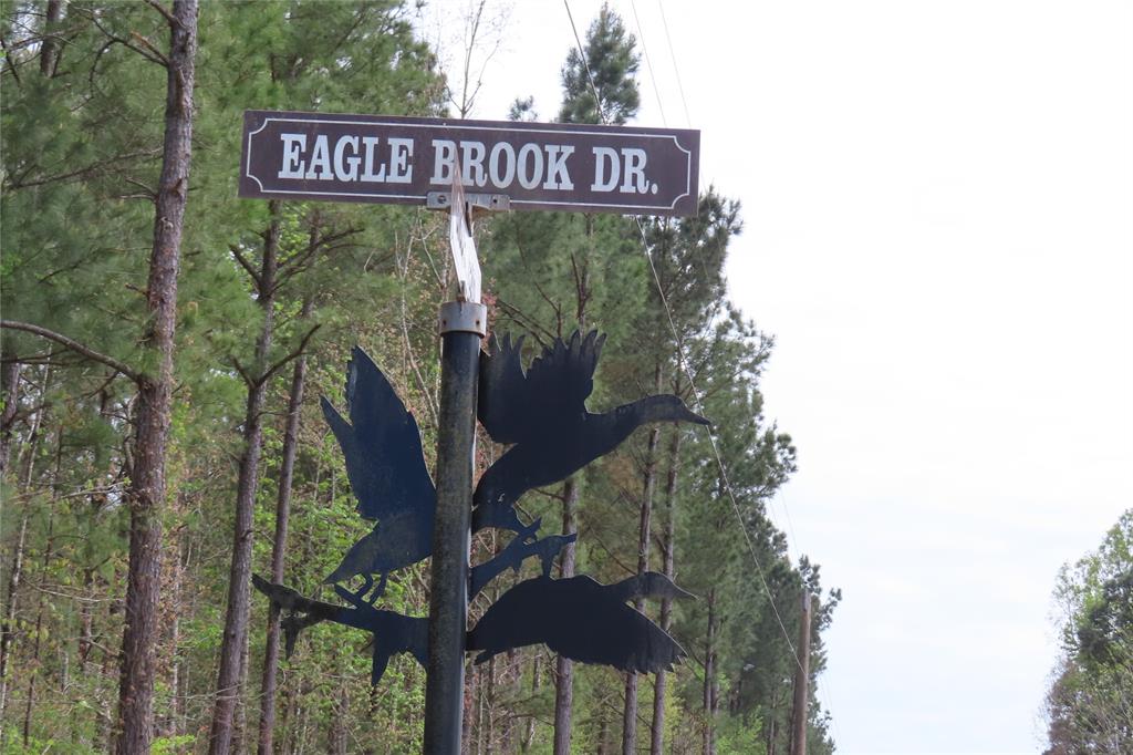 0 Eagle Brook Property Photo 1