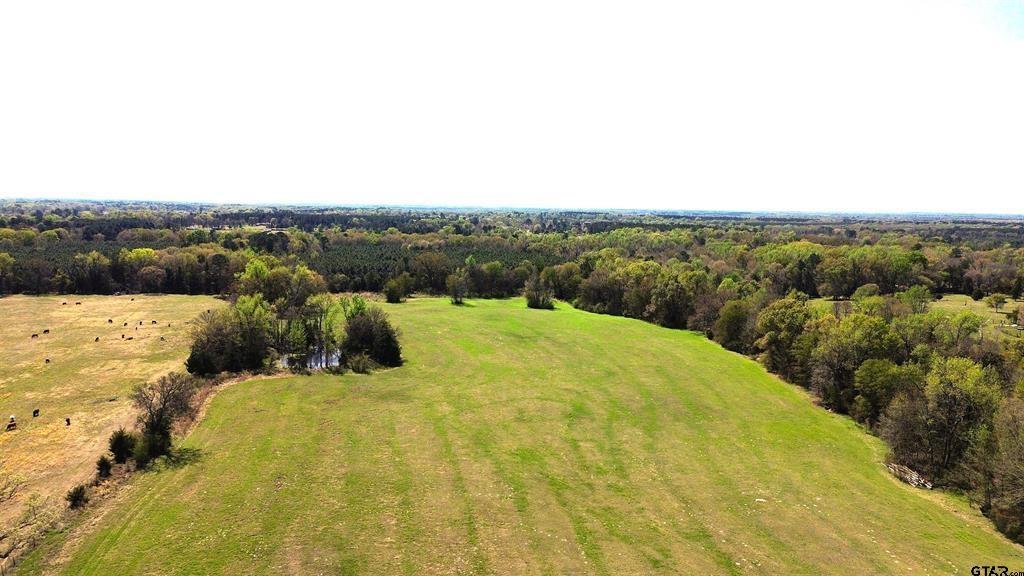 808 W Fm 1519 Property Photo 1