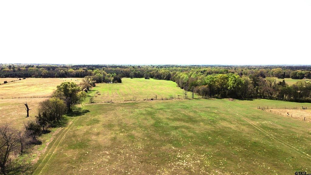 808 W Fm 1519 Property Photo 3