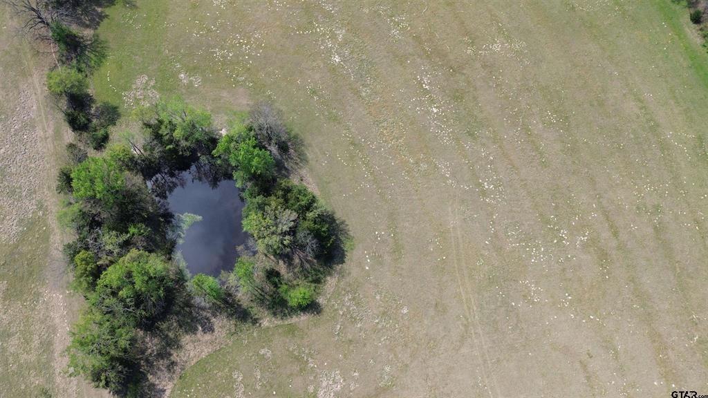 808 W Fm 1519 Property Photo 8