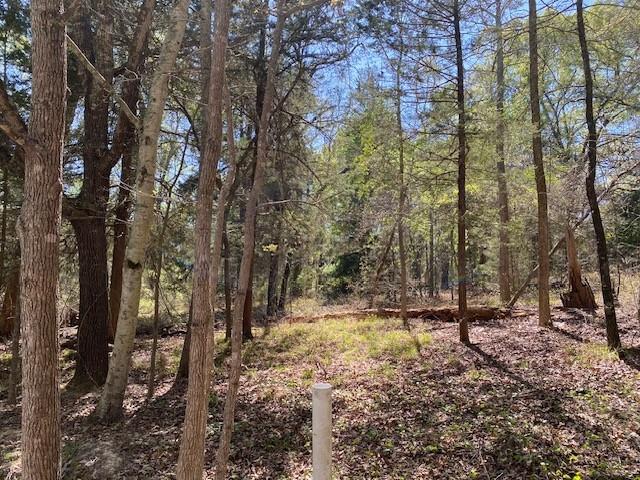 Tbd Broad Meadow Property Photo 1