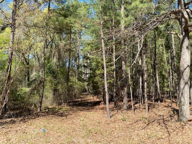 Tbd Armadillo Drive Property Photo 1