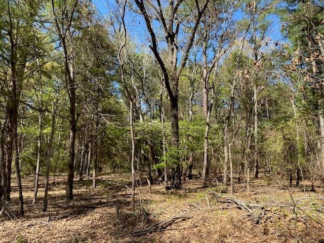 Tbd Armadillo Drive Property Photo 3