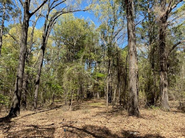 Tbd Armadillo Drive Property Photo 4