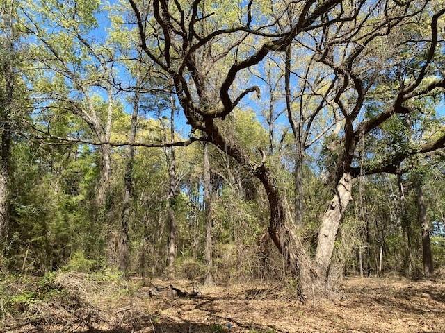 Tbd Armadillo Drive Property Photo 5