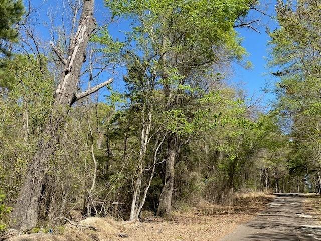 Tbd Armadillo Drive Property Photo 6