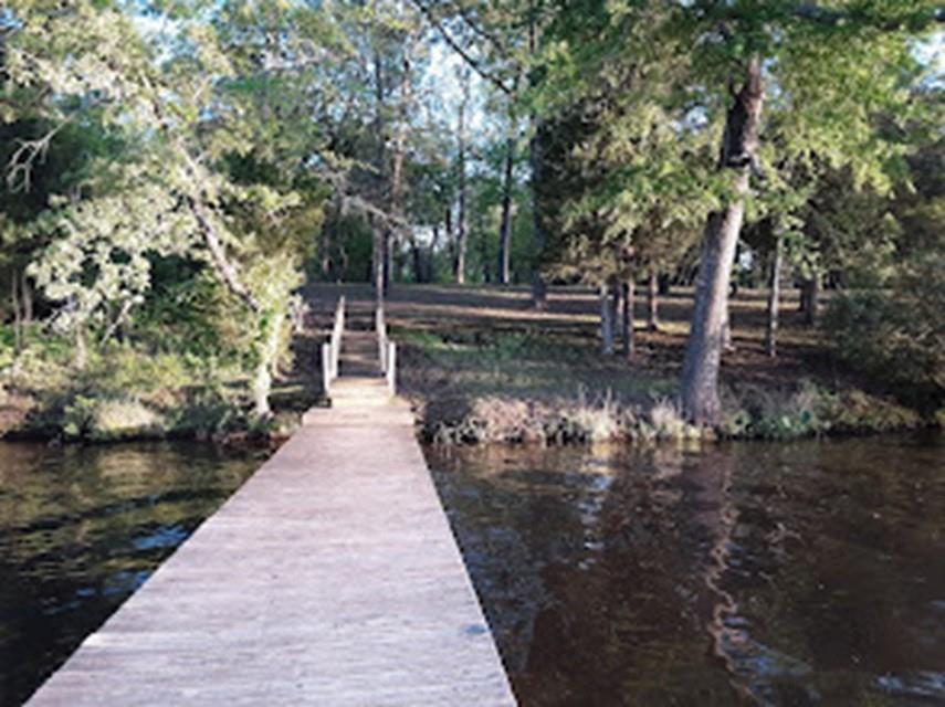 Tbd Armadillo Drive Property Photo 19