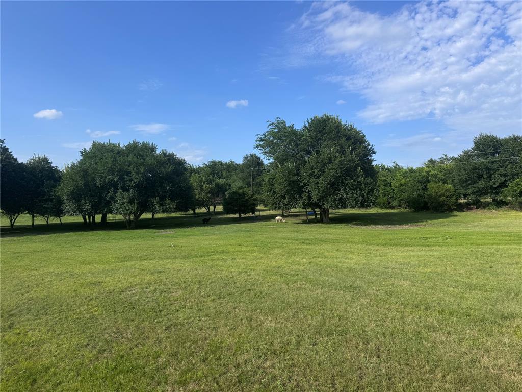 4081 Fm 2736 Property Photo 32
