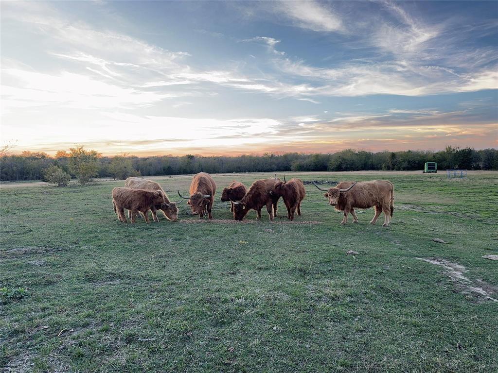 4081 Fm 2736 Property Photo 33