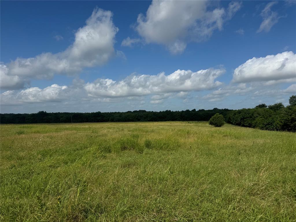 001 Fm 2990 Property Photo 8