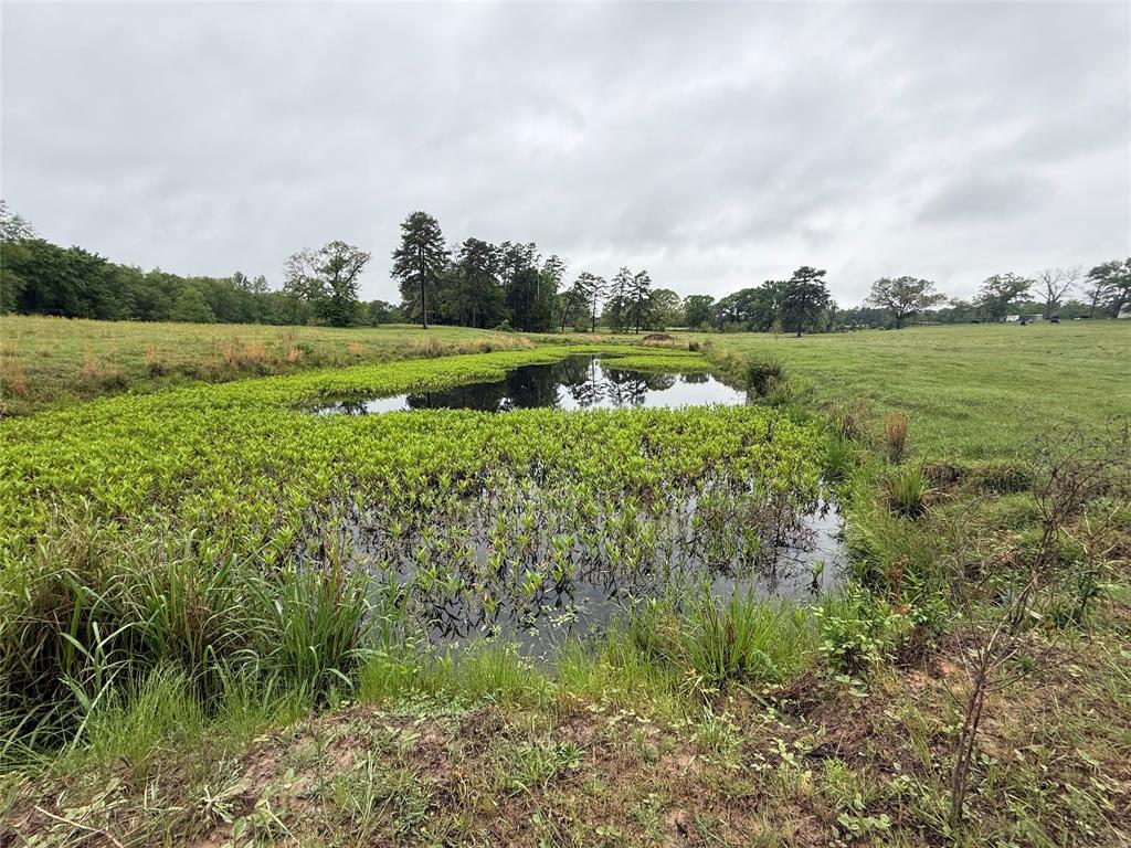 Tbd Fm 773 Property Photo 4