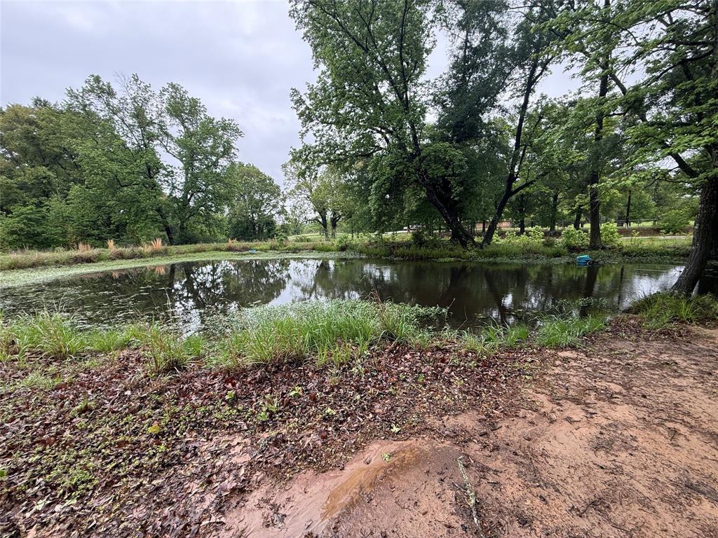 Tbd Fm 773 Property Photo 5