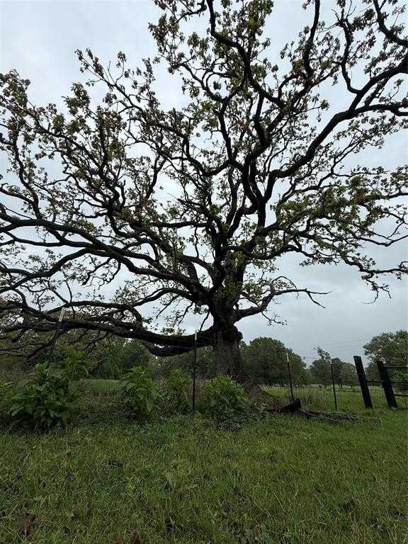 Tbd Fm 773 Property Photo 8