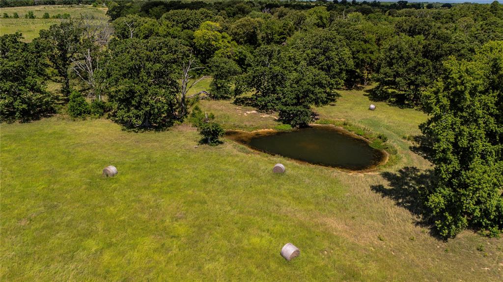 Tbd Fm 773 Property Photo 11