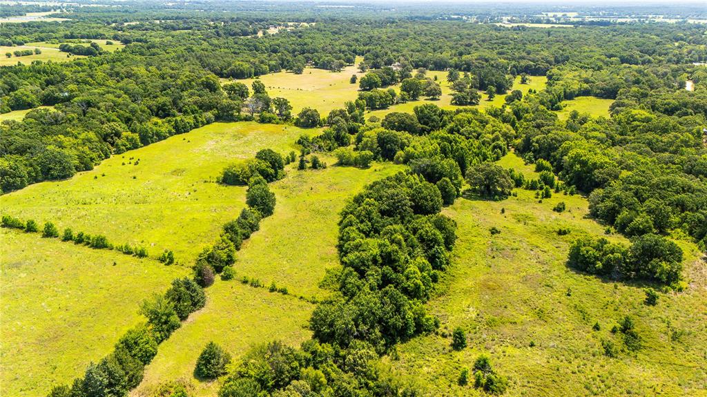 Tbd Fm 773 Property Photo 21