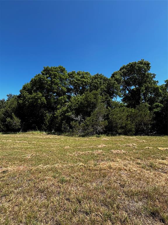 4025 County Road 175 Property Photo 3