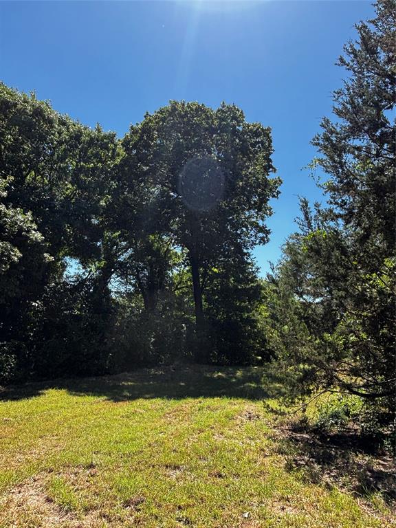 4025 County Road 175 Property Photo 5
