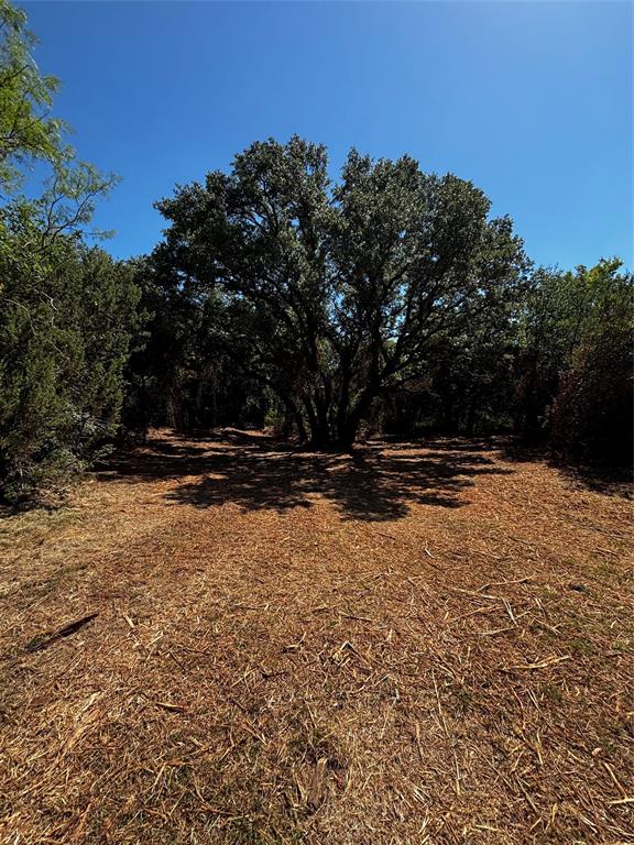 4025 County Road 175 Property Photo 20