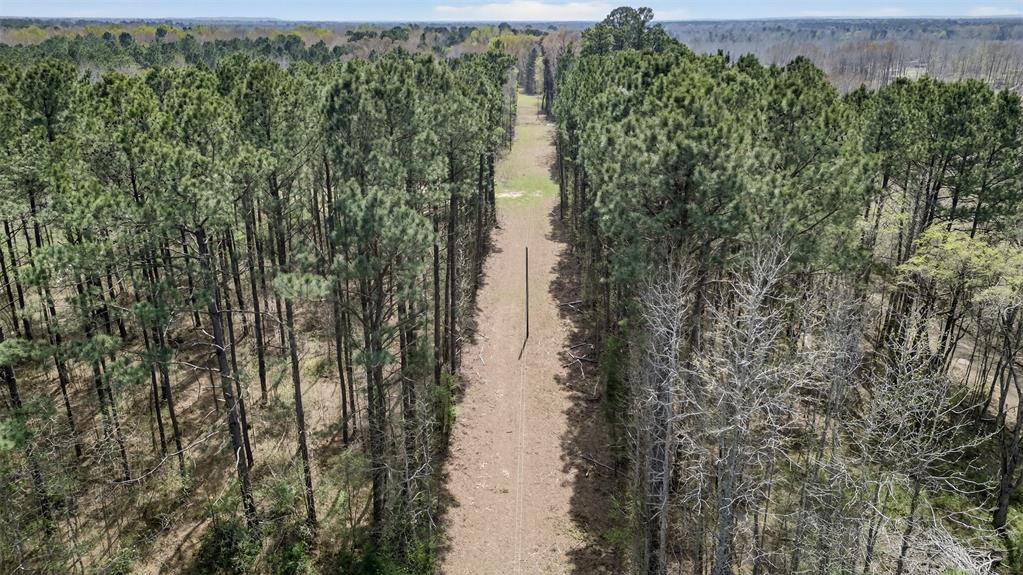 Hwy 49 County Road 3612 Property Photo 2
